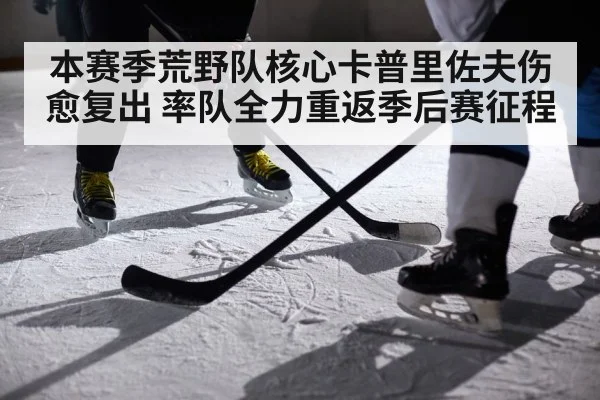 本赛季荒野队核心卡普里佐夫伤愈复出 率队全力重返季后赛征程
