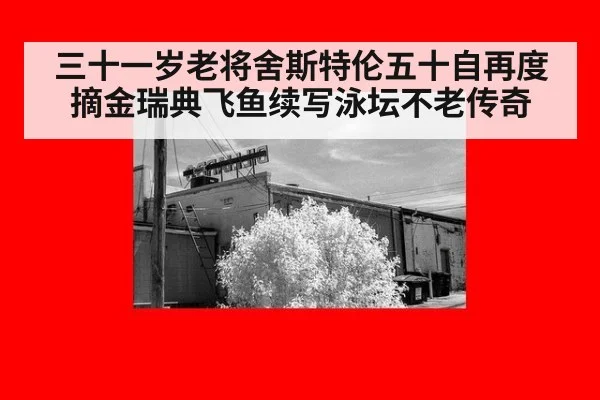 三十一岁老将舍斯特伦五十自再度摘金瑞典飞鱼续写泳坛不老传奇